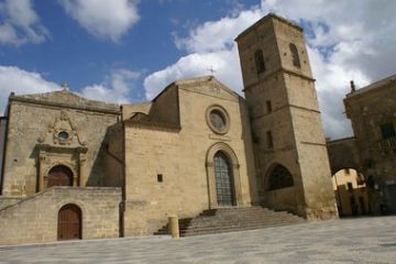 Sfoglia la galleria